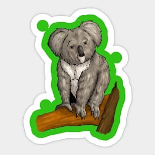 Koala Shirt Sticker